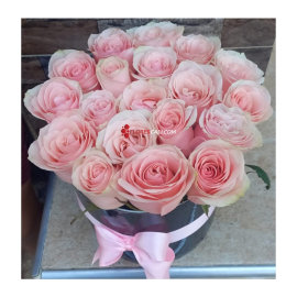 Rosas Primaveral 