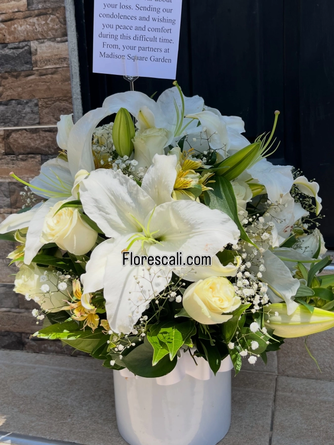 Cilindro de flores blancas para regalar