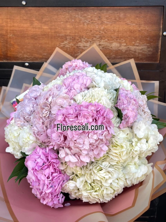Bouquet de hortensias pomposo en cali