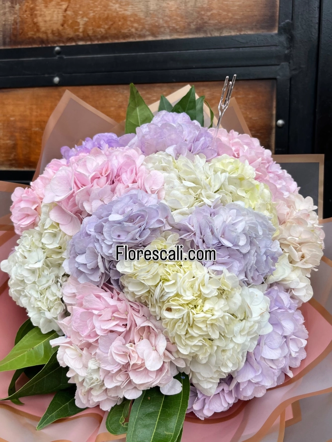Bouquet de hortensias pomposo en cali