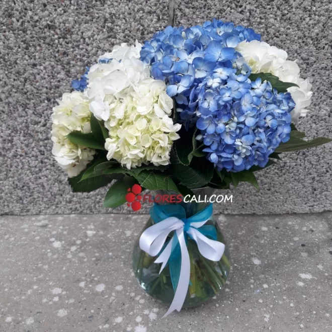 Jarrón de hortensias en cali