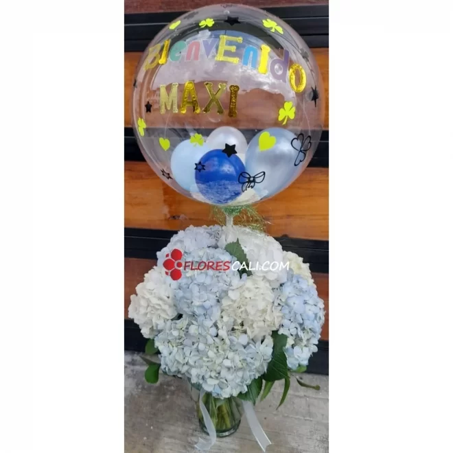 Jarrón de hortensias y globo burbuja en cali