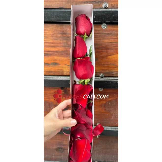 Caja x3 rosas, floristeria en cali 