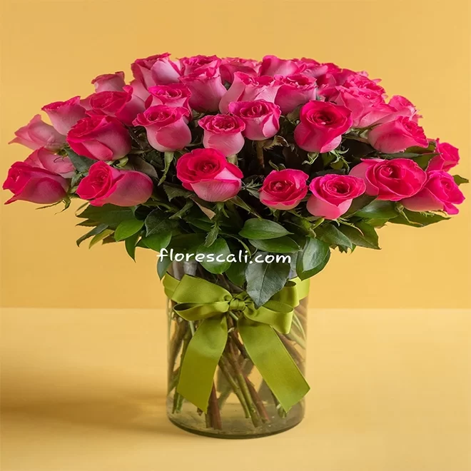 Rosas Fucsias en Cali