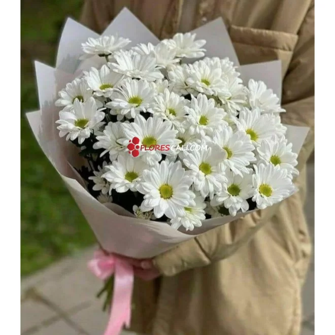 Bouquet de margaritas floristeria en cali
