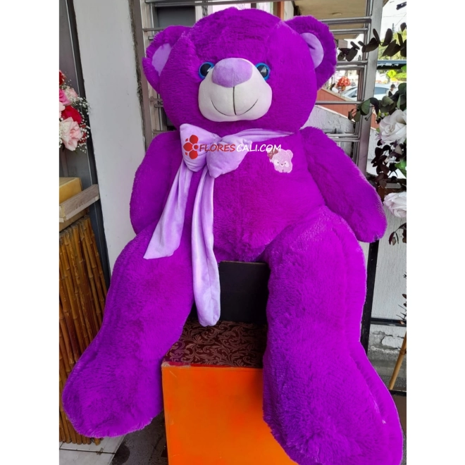 Oso de peluche de color para ella