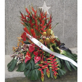 Fúnebre exótico Floristería en Cali 