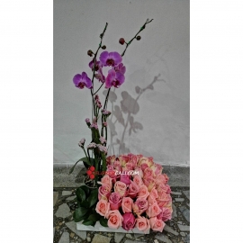 Orquidea en matera y Rosas flores cali