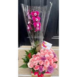 Orquidea en matera y Rosas flores cali