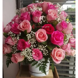Ramo de Flores Redondo Rosas de Colores  San Valentin 