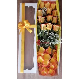 Caja de 12 rosas salmon en cali