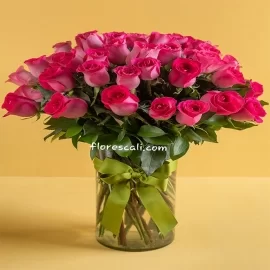 Rosas Fucsias en Cali