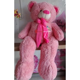 Oso de peluche de color para ella